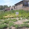 LAND FOR SALE BARRIO JARDÍN - SAN PATRICIO DEL CHAÑAR -
