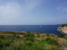 Building plot with project near the sea