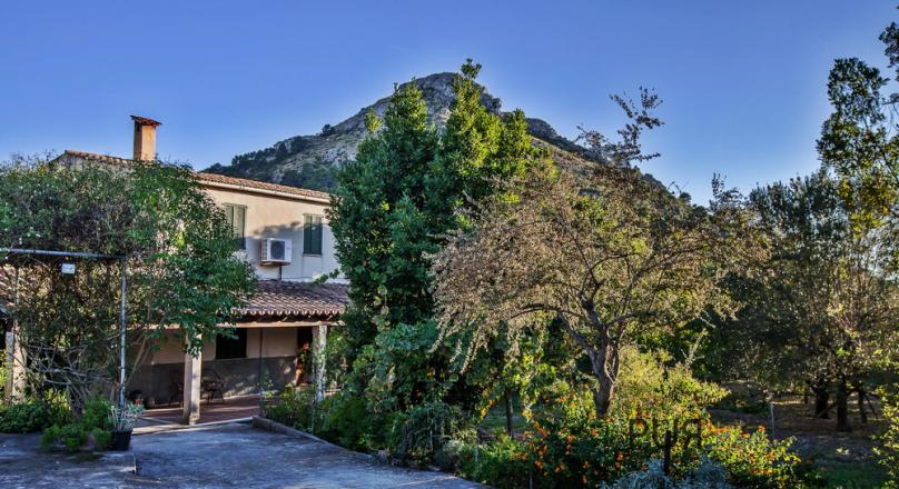 Alcudia - finca with lots of fruit trees, lots of views. She invites YOU. A price with a lot of perspective.