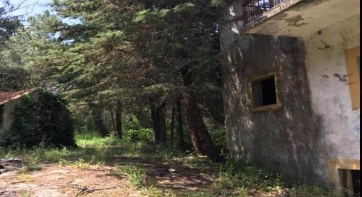 4 Hectares farmhouse with pool house