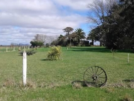Balcarce - 30 has