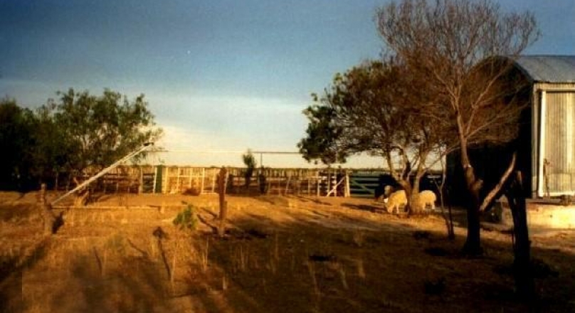 Small farm of 5000 has located close to the city of Viedma