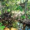 sale of farm in Pirenópolis abundant in water