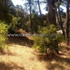 EXCELLENT LAND FOR SALE SUITABLE FOR HOUSING AND COMMERCIAL DEVELOPMENT