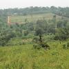 Our Wakiso Banda estate, 50*100 along Hoima Road with a private Mailo land 