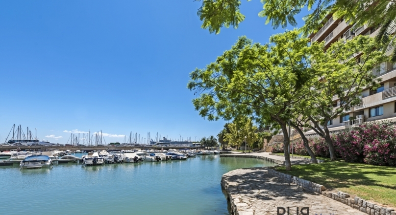 Spacious apartment. Can Barbera. The small harbor on the Paseo Maritimo. In great demand.