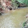 A must-see, sale of a farm in Pirenópolis