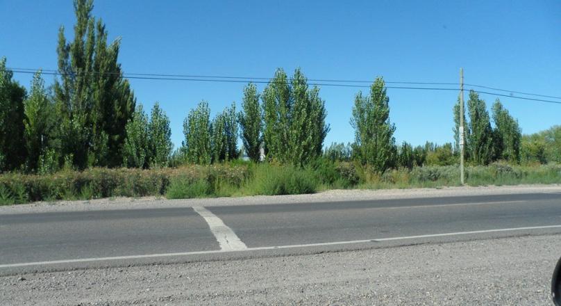 VENTA: 1/2 hectárea sobre Ruta 22
