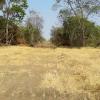 sale of four plots of land near Pirenópolis