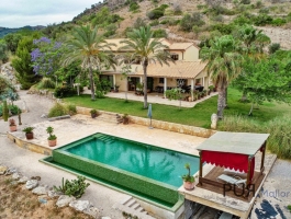 Wide look. Broad land. Your country. Your finca. For horses and more.