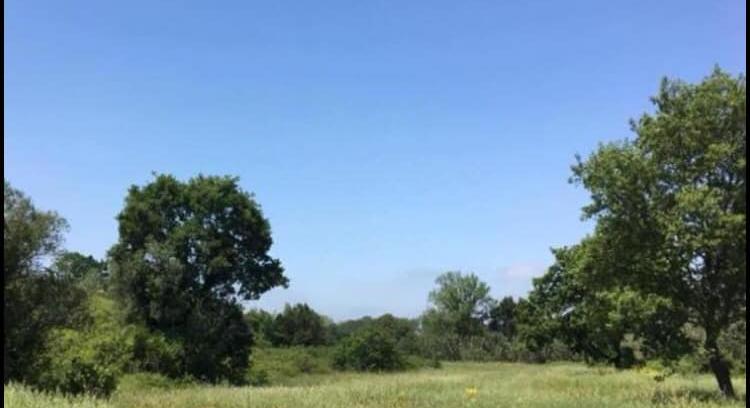 4 Hectares farmhouse with pool house