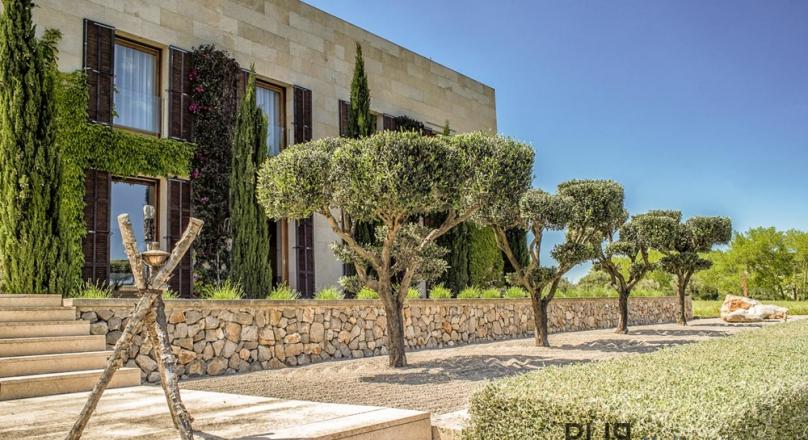 One and only. Finca. Own vineyard. And a lot of light. Generosity. Clarity.