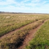 FIELD DEPARTMENT ARTIGAS cattle breeder good breeder
