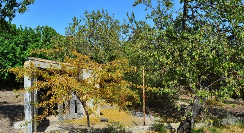 Finca with sea views. And a garden with almond and fruit trees.