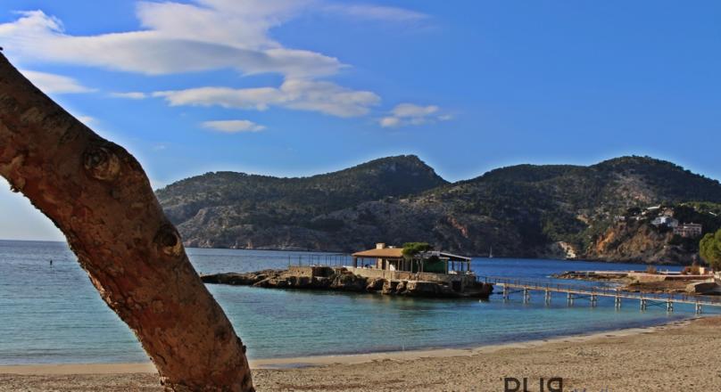 Camp de Mar. Bathing on this beach. And live between hole 14th and 16th at the golf course.