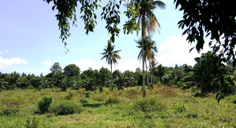 INDUSTRIAL LOT FOR SALE in BUNAWAN, Davao City