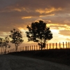 LIVESTOCK FARM FOR SALE OF 4,460 HECTARES