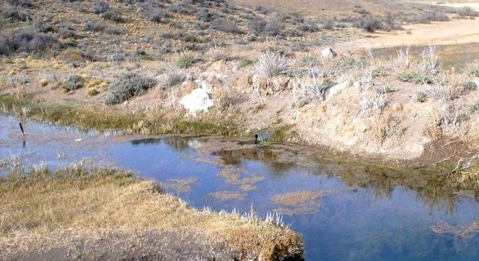 EXCELLENT INVESTMENT - Picturesque and very productive 30,000 has