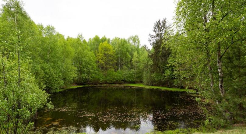 A unique property for sale on the border of the province.