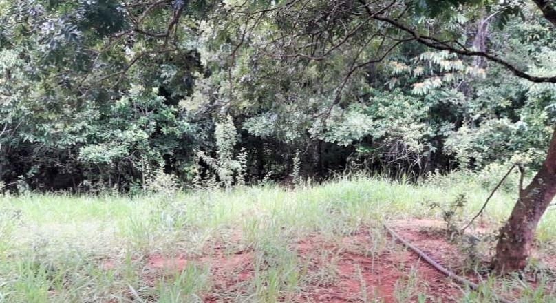 A must-see, sale of a farm in Pirenópolis