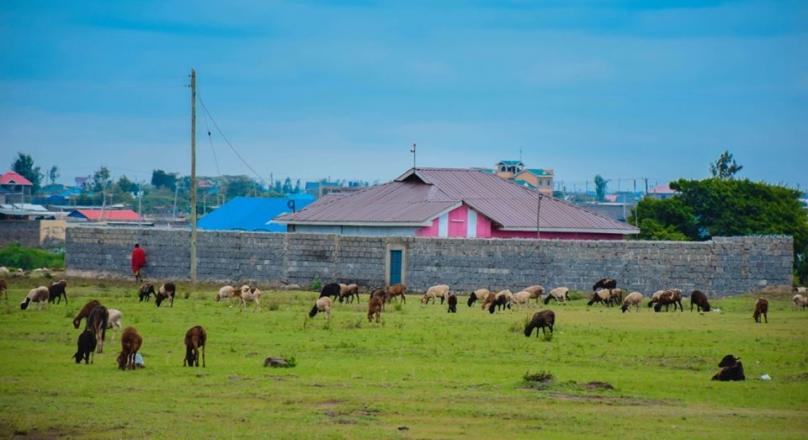 50 BY 100 CONTROLLED RESIDENTIAL PLOT FOR SALE IN JUJA