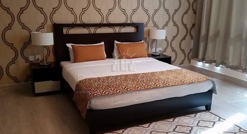 Fully furnished Apartment 1BHK + Electricity And Water IS Free +gym