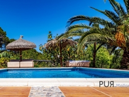 Finca with sea view for holiday rental