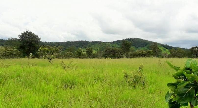 A must-see, sale of a farm in Pirenópolis