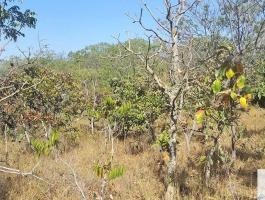 next to the Serra dos Pireneus State Park