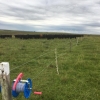 FIELD DEPARTMENT ARTIGAS cattle breeder good breeder