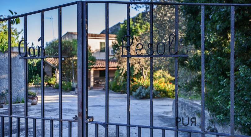 Alcudia - finca with lots of fruit trees, lots of views. She invites YOU. A price with a lot of perspective.