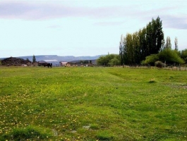 Spectacular agricultural - cattle farm of 80,000 hectares.