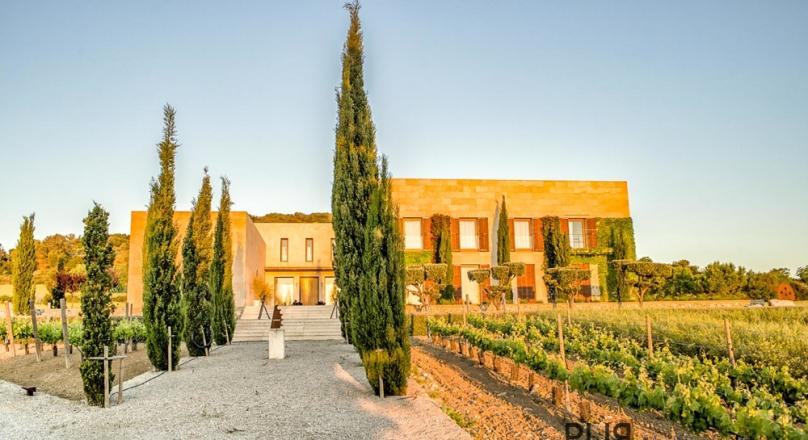 One and only. Finca. Own vineyard. And a lot of light. Generosity. Clarity.