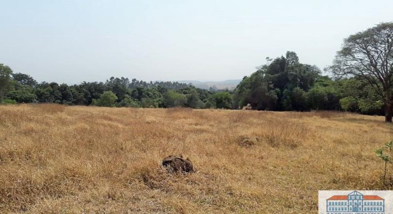 sale of four plots of land near Pirenópolis