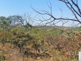 land sale in Pirenópolis, next to the Serra dos Pireneus State Park