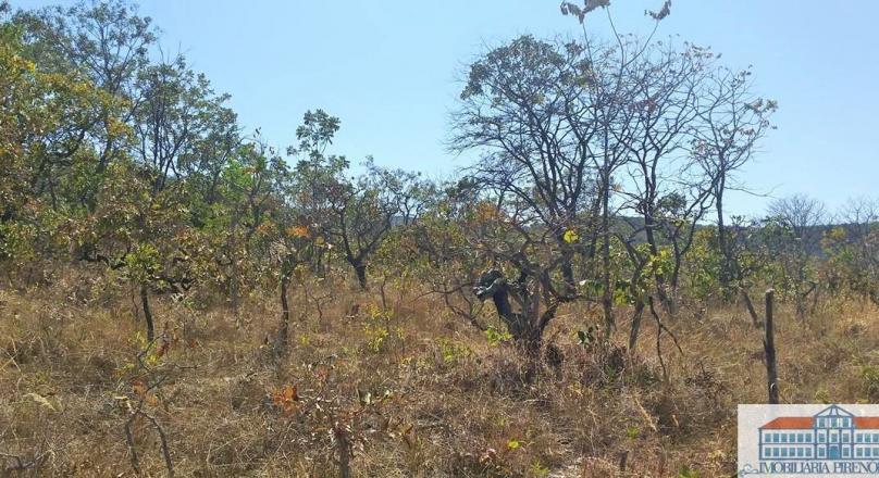land sale in Pirenópolis, next to the Serra dos Pireneus State Park