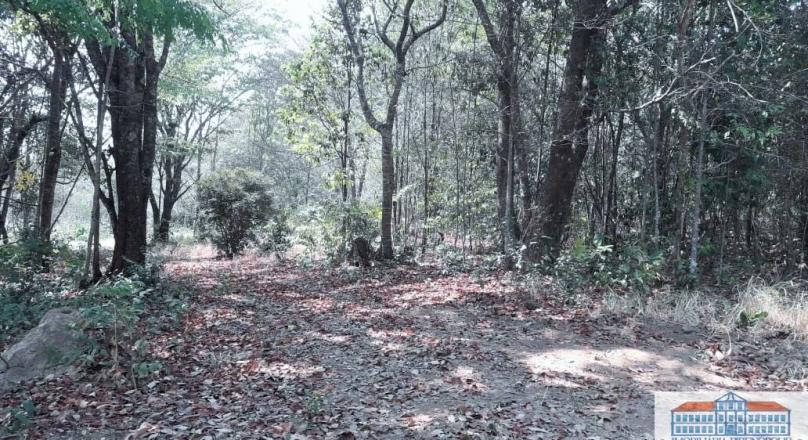 Unmissable, sale of four plots of land close to Pirenópolis