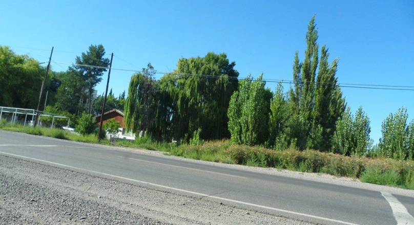 VENTA: 1/2 hectárea sobre Ruta 22