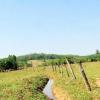 sale of farm in Pirenópolis abundant in water
