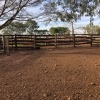 FIELD DEPARTMENT ARTIGAS cattle breeder good breeder