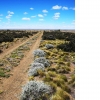 GREAT OPPORTUNITY - field