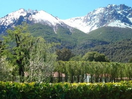 Beautiful 15 hectares in Bariloche, Province of Río Negro.