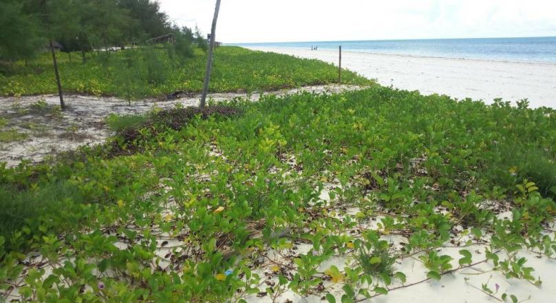 SAND BEACH PLOT FOR SALE