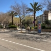 Investment opportunity in the center of Palma