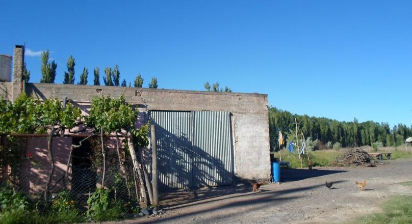 Farm sale on route Sergeant Vidal