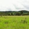 A must-see, sale of a farm in Pirenópolis