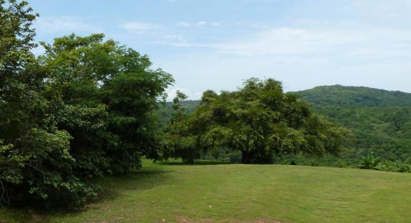 BEAUTIFUL FINCA FOR SALE WITH EXCELLENT VIEW!