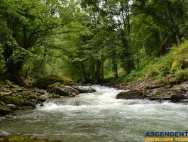 14,800 sqm, with PUZ for Holiday Homes, Rasnov Panicel