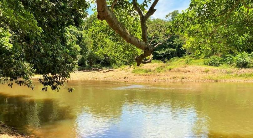Unmissable, sale of chácara in Pirenópolis abundant in water