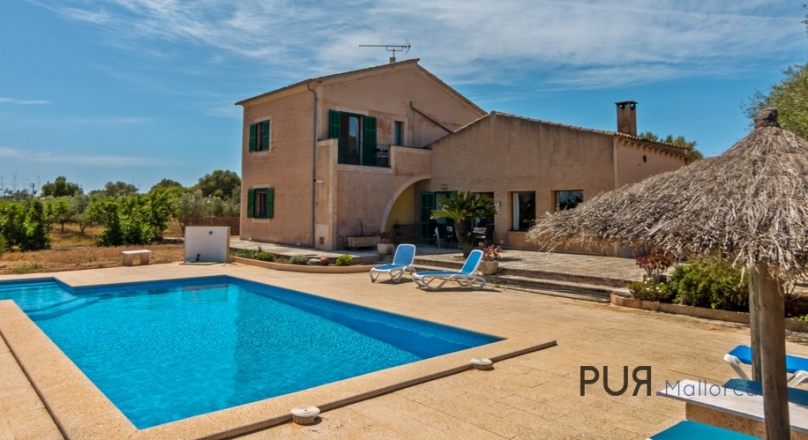 Bright villa with pool and private olive groves.